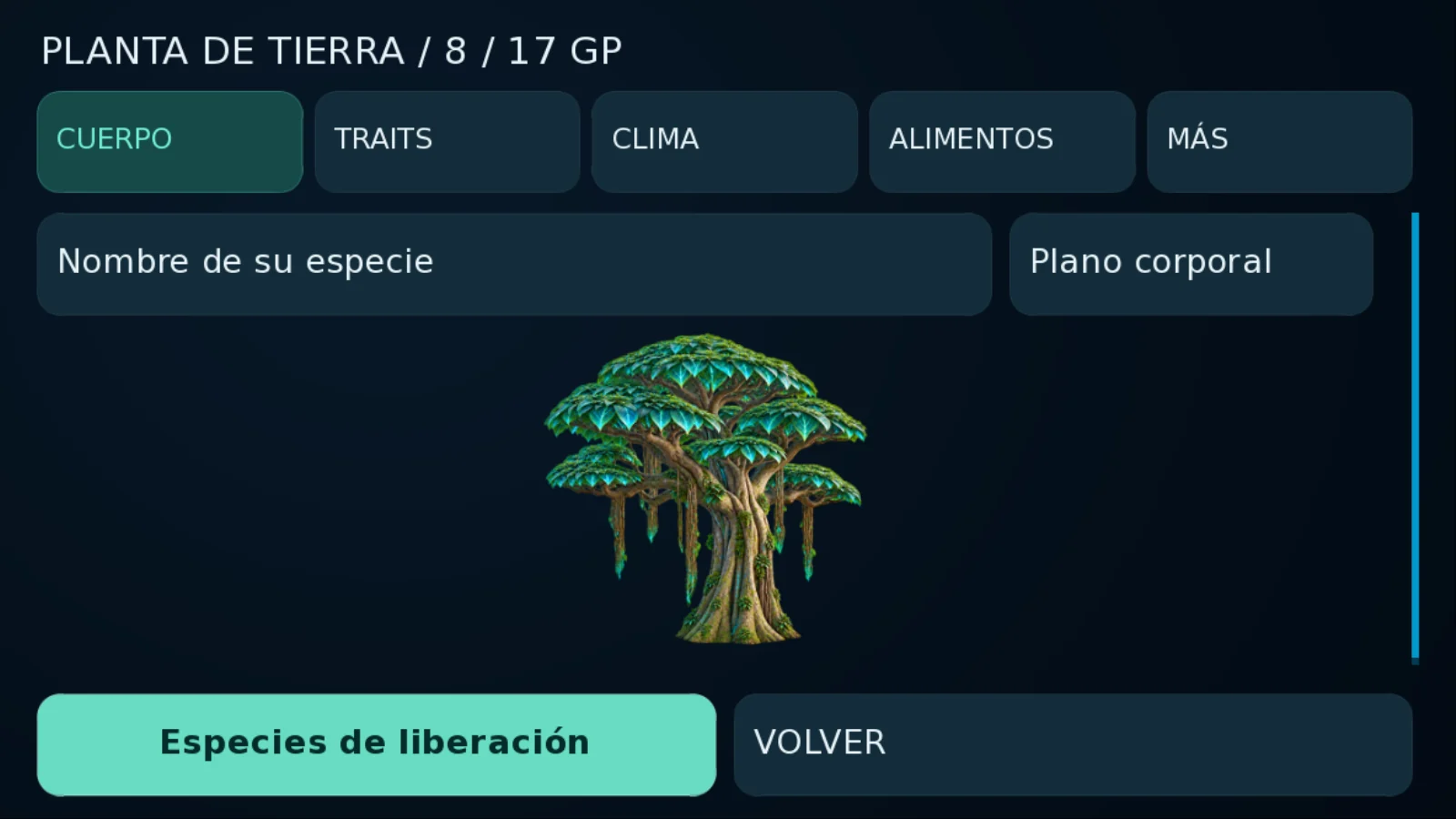 Cultiva los cimientos